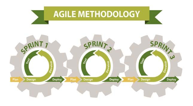 A Piece of Advice on Software Development Life Cycle - TechPrate